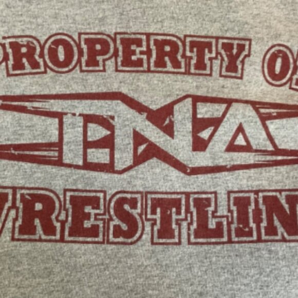 NWA TNA Impact Wrestling Limited Edition Logo T-shirt 2004 Gildan XL Vintage WWE - Picture 3 of 4